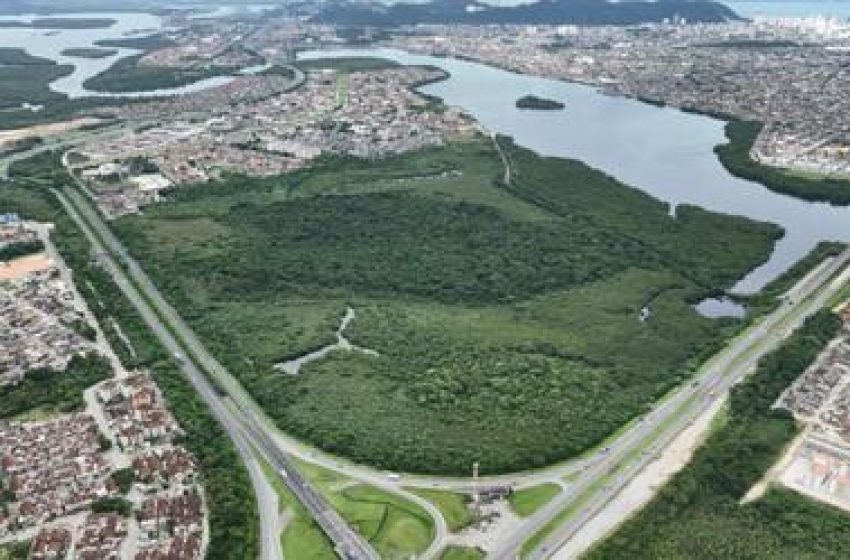 Cidades Verdes do Mundo: 34 municípios brasileiros fazem parte de seleta lista da ONU