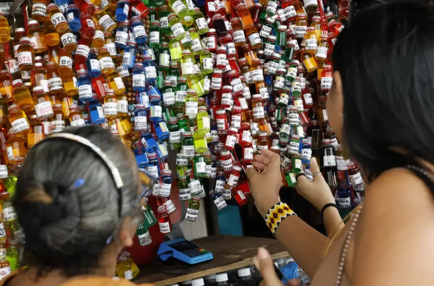Microcrédito do Banco da Amazônia fortalece mulheres empreendedoras na região