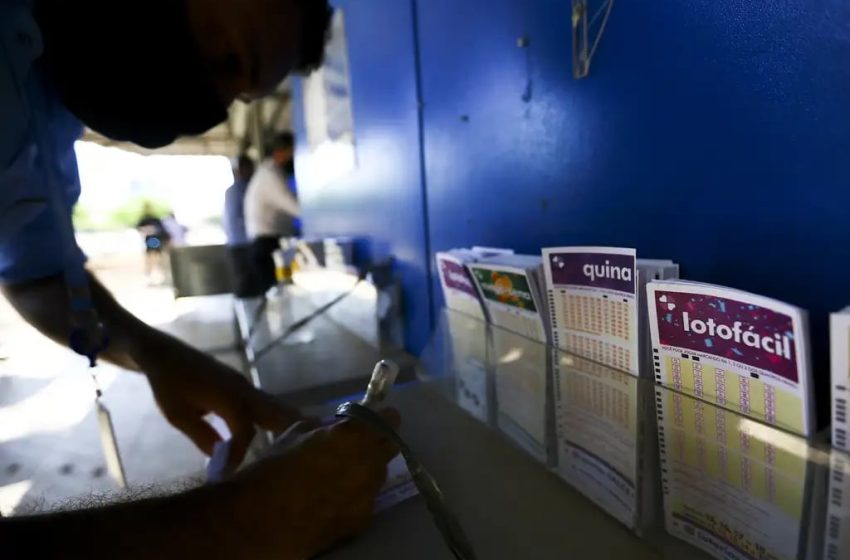  Lotofácil 3505: números e resultado do sorteio de hoje (06/10)